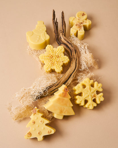 COFFRETS DECOUVERTE NOEL