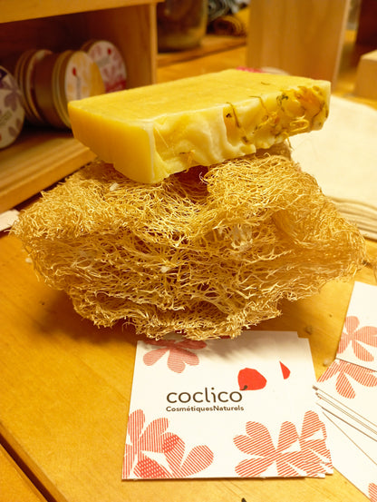 Eponge Loofah